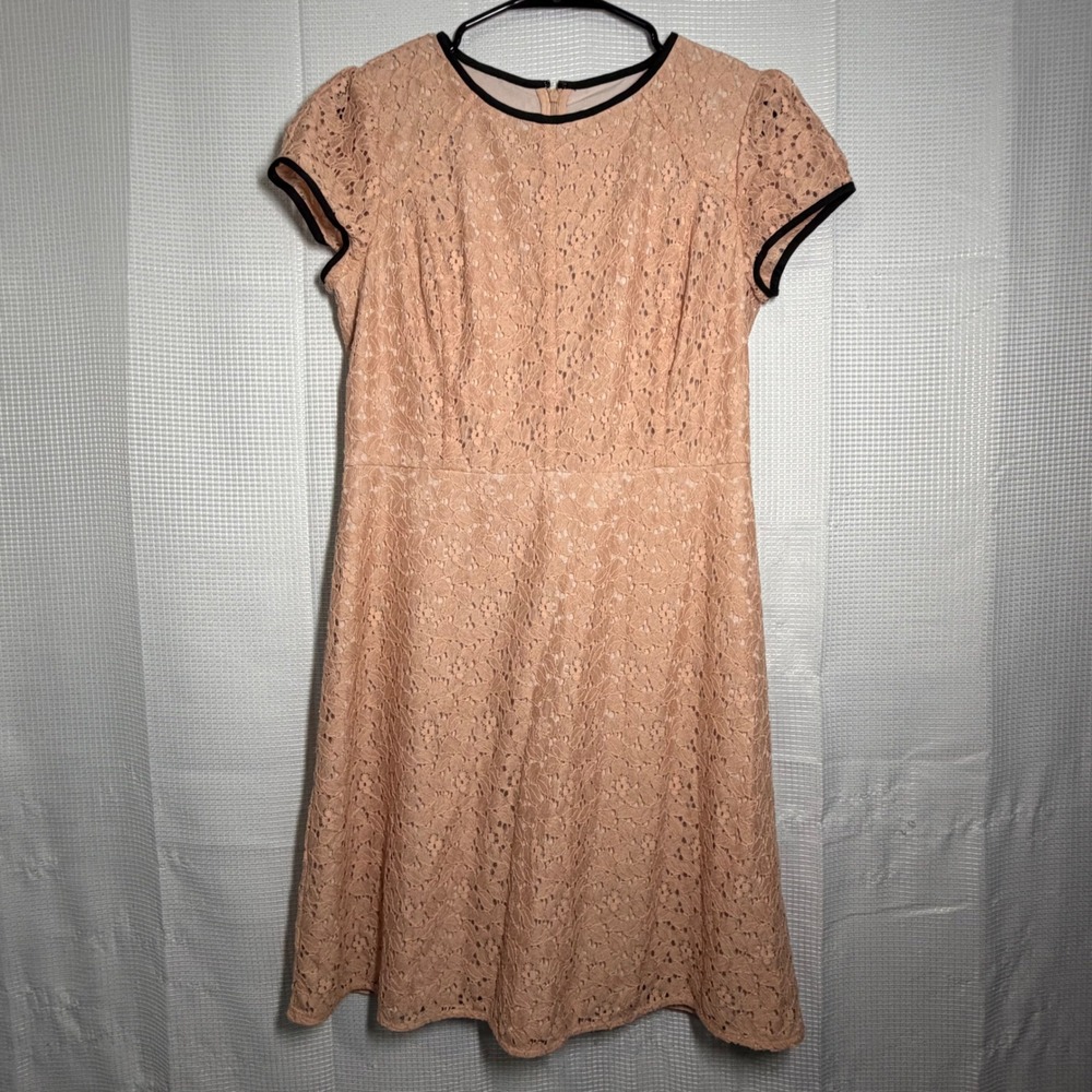 LOFT Lace Fit and Flare Dress 6 Peach Contrast Trim New